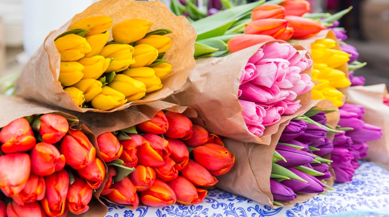 Названы самые популярные цветы к 8 марта: какие букеты выбирают чаще всего